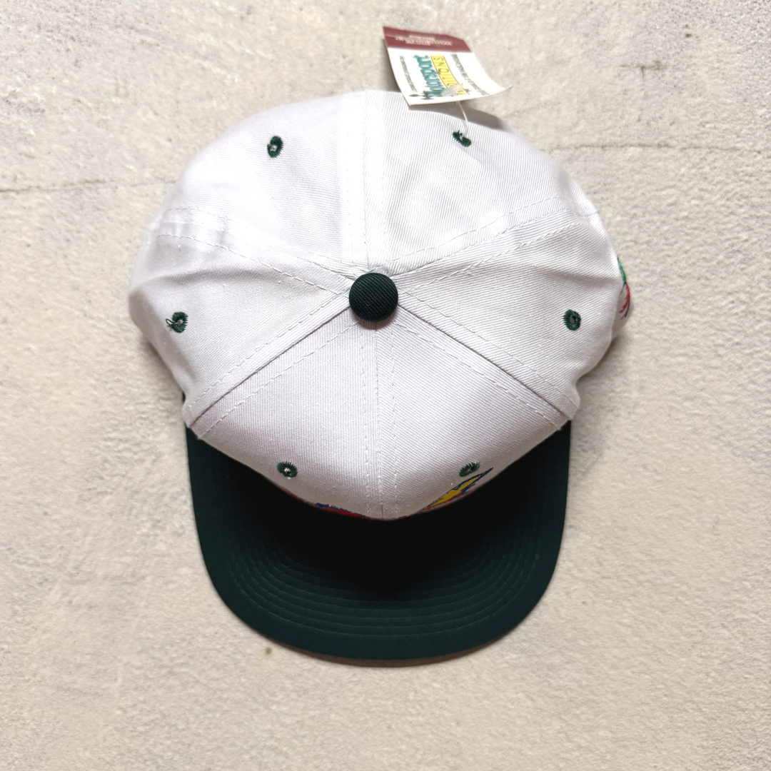 NEW W/ TAG: 90s Vintage Jeff Gordon Nascar Quaker State SnapBack